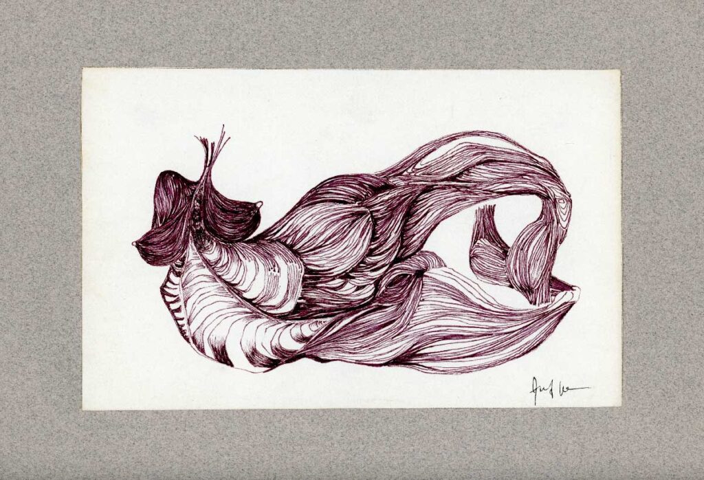 1961/62 - Dessin à la plume et encre de Chine